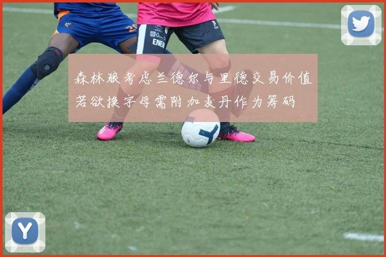 森林狼考虑兰德尔与里德交易价值若欲换字母需附加麦丹作为筹码